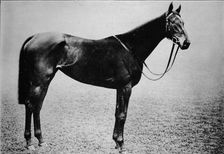 Sceptre 1899-1926, (1911)