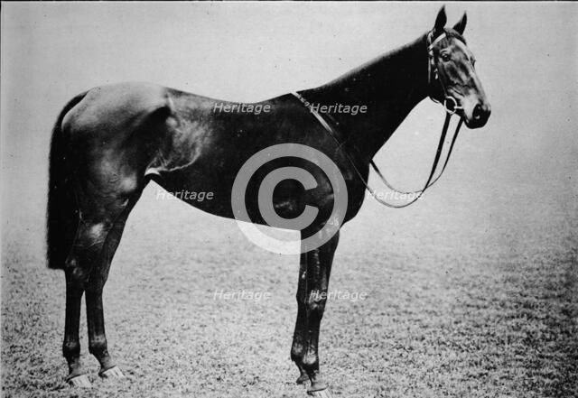 'Sceptre', 1899-1926, (1911). Artist: Unknown.