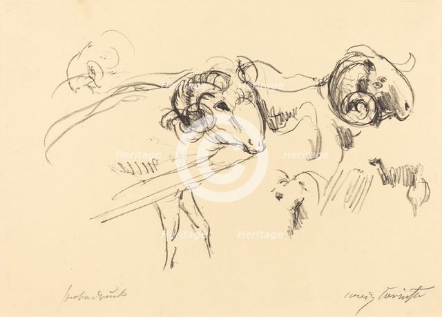 Schafböcke (Rams), 1912. Creator: Lovis Corinth.