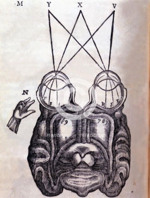 Schematic drawing on the functioning of the brain and human ocular system, engraving published in…