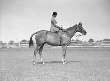 Schey, Theresa, Miss, on horse, between 1911 and 1942. Creator: Arnold Genthe