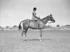 Schey, Theresa, Miss, on horse, between 1911 and 1942. Creator: Arnold Genthe