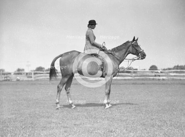 Schey, Theresa, Miss, on horse, between 1911 and 1942. Creator: Arnold Genthe.