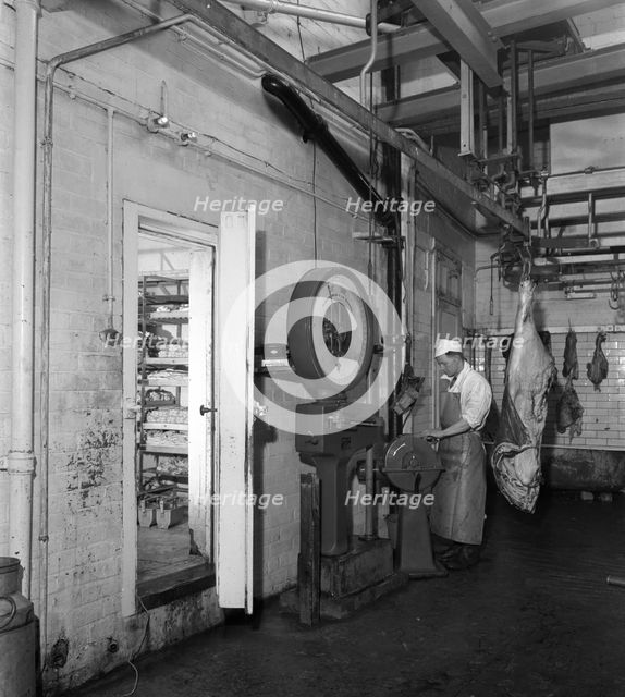 Schonhut's butchery factory, Rawmarsh, South Yorkshire, 1955. Creator: Michael Walters.