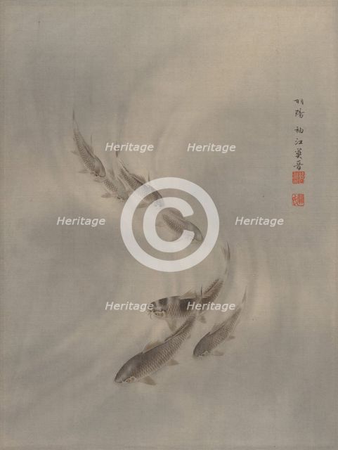School of Fishes, ca. 1890-92. Creator: Seki Shuko.