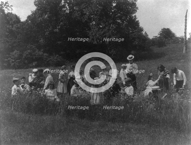 School children examining wild flowers on field trip - 1st Division, Washington, D.C..., (1899?). Creator: Frances Benjamin Johnston.