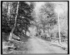 Schooley's Mtn., road from Hackettstown, N.J., between 1890 and 1901. Creator: Unknown