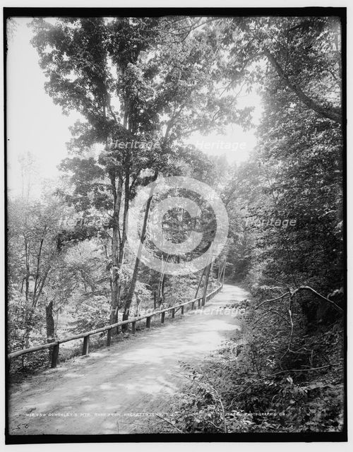 Schooley's Mtn., road from Hackettstown, N.J., between 1890 and 1901. Creator: Unknown.