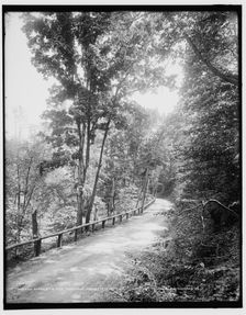 Schooley's Mtn., road from Hackettstown, N.J., between 1890 and 1901. Creator: Unknown