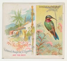 Schreiber's Hummingbird, from Birds of the Tropics series (N38) for Allen & Ginter Cigaret..., 1889. Creator: Allen & Ginter