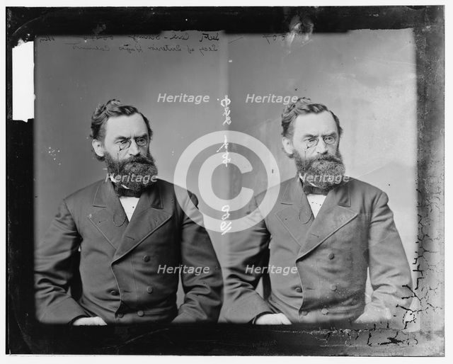 Schurz, Hon. Carl of Missouri, between 1865 and 1880. Creator: Unknown.