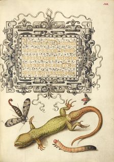 Scorpionfly, Insect, Lizard, and Insect Larva, 1561-1562; illumination added 1591-1596. Creator: Joris Hoefnagel