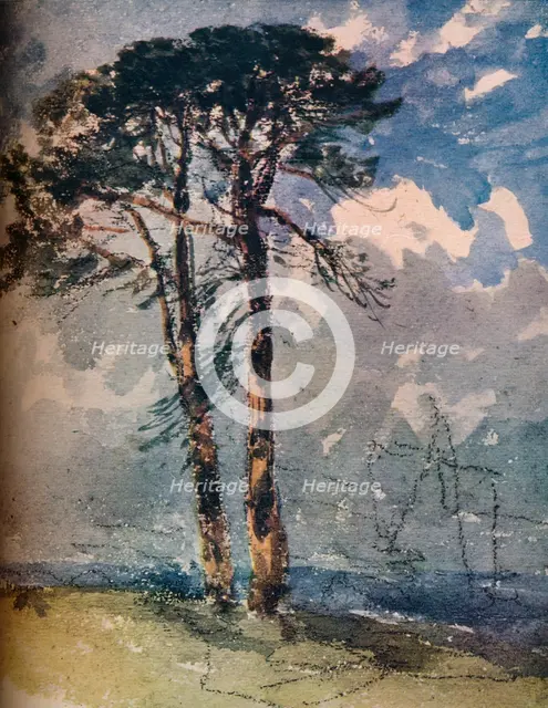 'Scotch Firs',1805. Artist: David Cox the elder.
