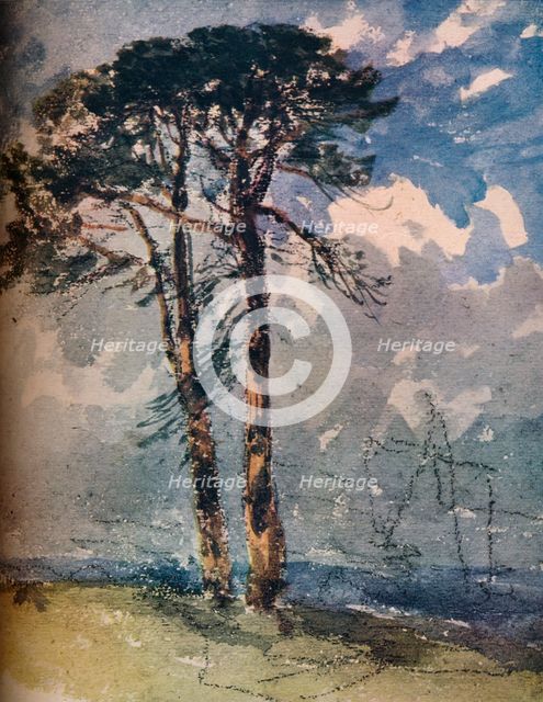 'Scotch Firs',1805. Artist: David Cox the elder.