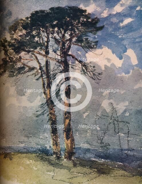 'Scotch Firs',1805. Artist: David Cox the elder.