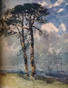 Scotch Firs 1805. Artist: David Cox the elder