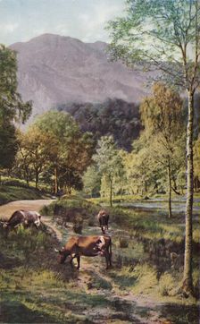 Scotland c1930s. Artist: Donald McLeish