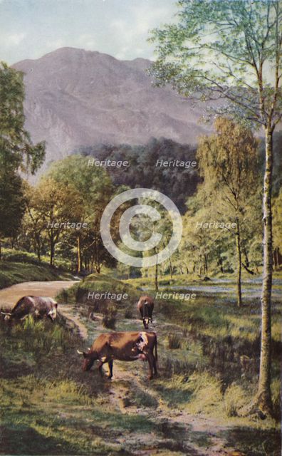 'Scotland', c1930s. Artist: Donald McLeish.