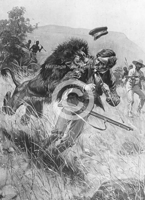 Scottish missionary and explorer David Livingstone being attacked by a lion, Africa, 19th century. Artist: Unknown