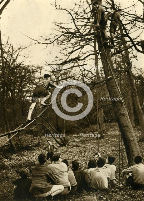 'Scouts Practising Pioneering', 1944. Creator: Unknown.