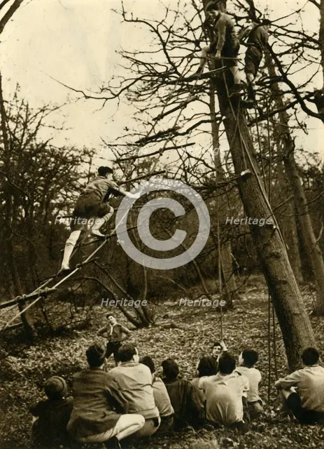 'Scouts Practising Pioneering', 1944. Creator: Unknown.
