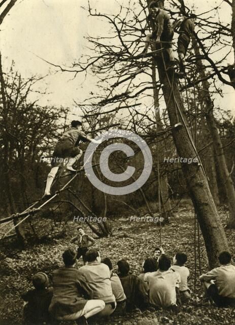 'Scouts Practising Pioneering', 1944. Creator: Unknown.