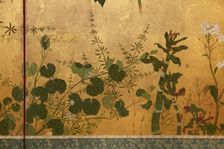 Screen with spring and summer flowers, 1st half of the 18th century. Creator: Watanabe Shiko