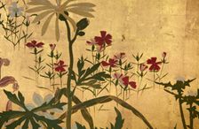 Screen with spring and summer flowers, 1st half of the 18th century. Creator: Watanabe Shiko