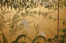 Screen with spring and summer flowers, 1st half of the 18th century. Creator: Watanabe Shiko