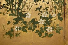 Screen with spring and summer flowers, 1st half of the 18th century. Creator: Watanabe Shiko