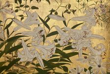 Screen with spring and summer flowers, 1st half of the 18th century. Creator: Watanabe Shiko