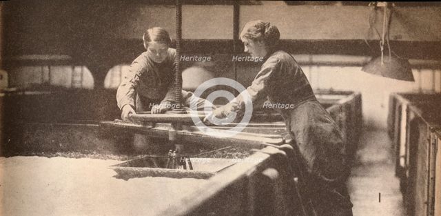 Screwing Down the Yeast in a Burton-On-Trent Brewery', c1916, (1935). Artist: Unknown.