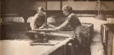 Screwing Down the Yeast in a Burton-On-Trent Brewery c1916, (1935)
