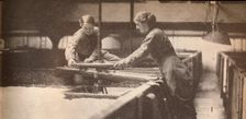 Screwing Down the Yeast in a Burton-On-Trent Brewery c1916, (1935)