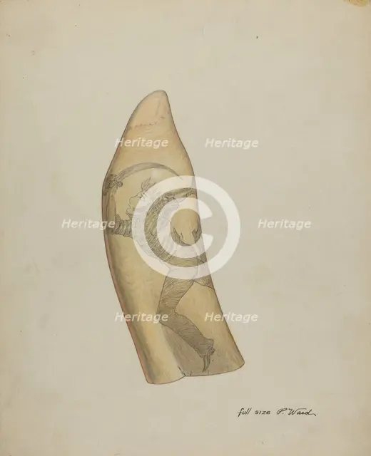 Scrimshaw, c. 1937. Creator: Paul Ward.