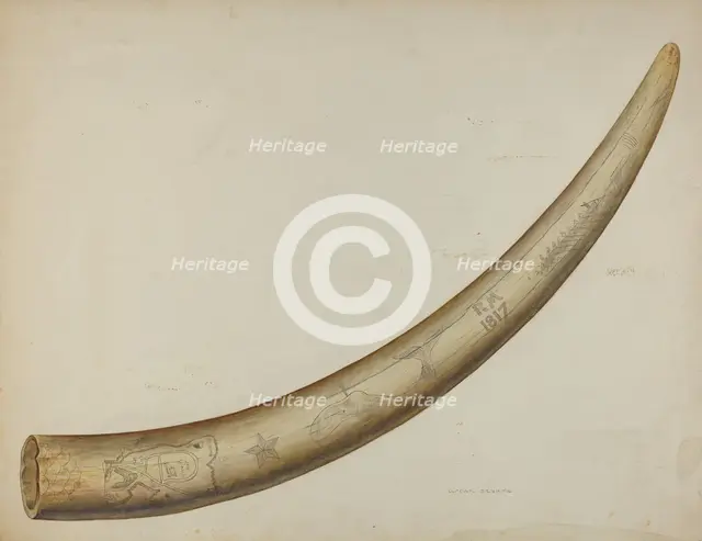 Scrimshaw: Walrus Tusk, 1941. Creator: Oscar Bluhme.