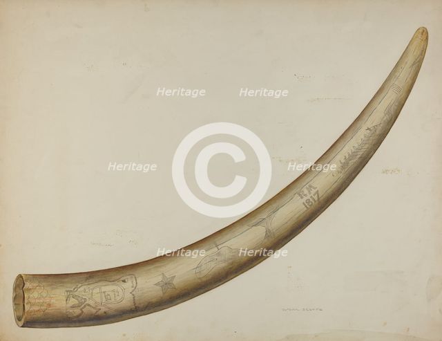 Scrimshaw: Walrus Tusk, 1941. Creator: Oscar Bluhme.