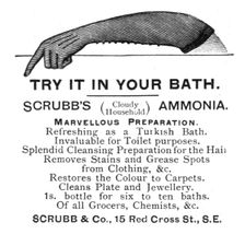 'Scrubb & Co. 1891. Creator: Unknown