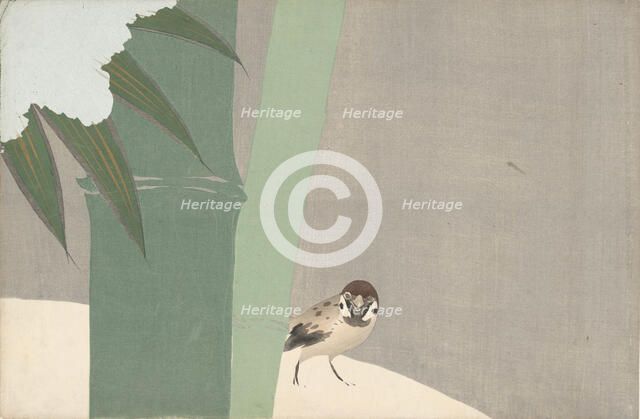 Settchu-take (Bamboo in Snow). From the series "A World of Things (Momoyogusa)", 1909-1910. Creator: Sekka, Kamisaka (1866-1942).