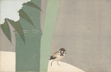 Settchu-take (Bamboo in Snow). From the series "A World of Things (Momoyogusa)", 1909-1910. Creator: Sekka, Kamisaka (1866-1942)