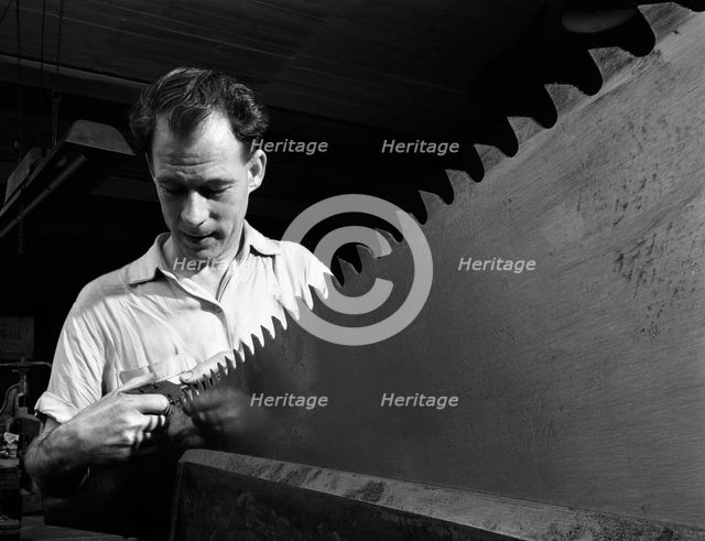 Setting the saw teeth a two metre saw blade, Sheffield, South Yorkshire, 1963. Creator: Michael Walters.
