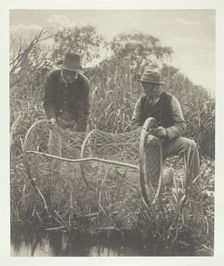 Setting Up the Bow-Net, 1886. Creator: Peter Henry Emerson