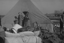 Setting up a tent in the camp for white flood refugees, Forrest City, Arkansas, 1937. Creator: Walker Evans