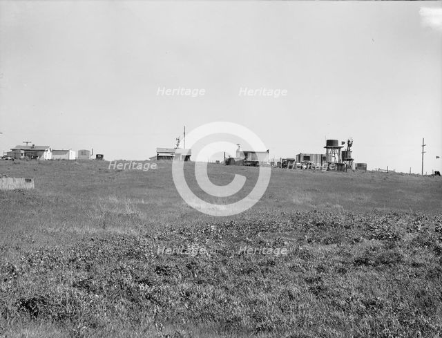 Settlement of small plots held mostly by lettuce shed workers, outskirts of Salinas, CA, 1939. Creator: Dorothea Lange.