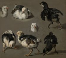 Seven Chicks, c.1665-c.1668. Creator: Melchior d'Hondecoeter