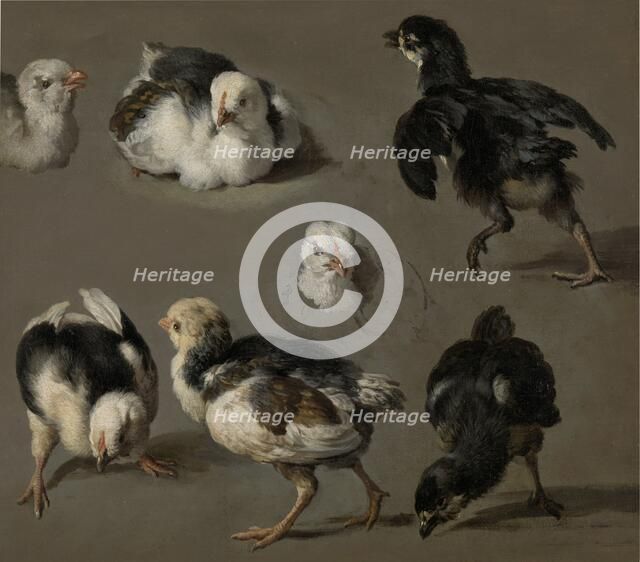 Seven Chicks, c.1665-c.1668. Creator: Melchior d'Hondecoeter.