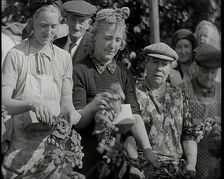 Several Women Picking Hops With Two of Them Wearing Their Gas Masks in a Box Around Their Necks,1939 Creator: British Pathe Ltd