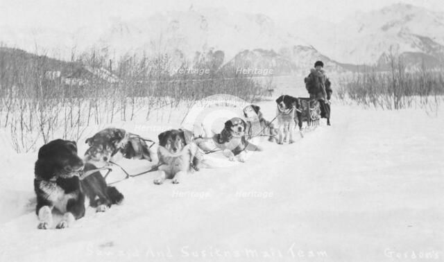 Seward and Susitna mail team, between c1900 and c1930. Creator: Unknown.