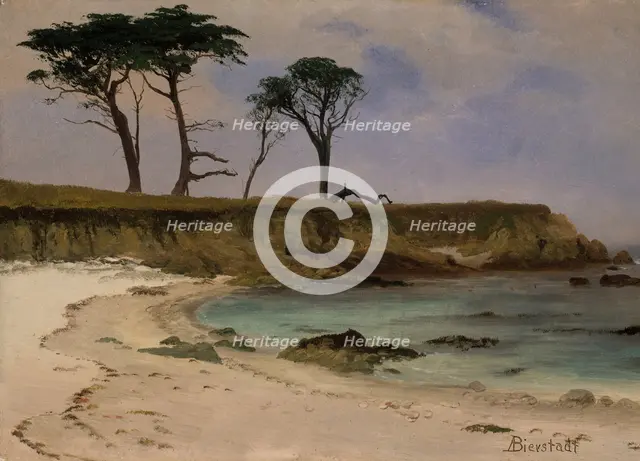 Sea Cove, ca. 1880-90. Creator: Albert Bierstadt.