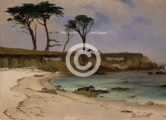 Sea Cove, ca. 1880-90. Creator: Albert Bierstadt.